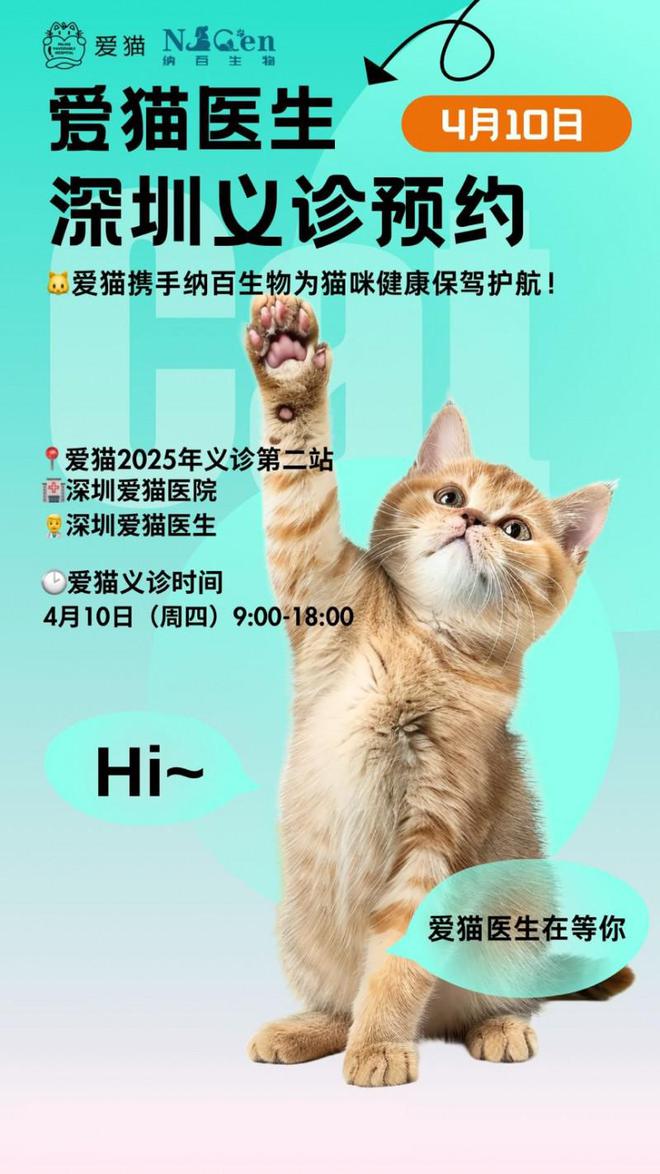 车深圳站：专业的猫咪健康守护行动开元棋牌网站新瑞鹏爱猫义诊直