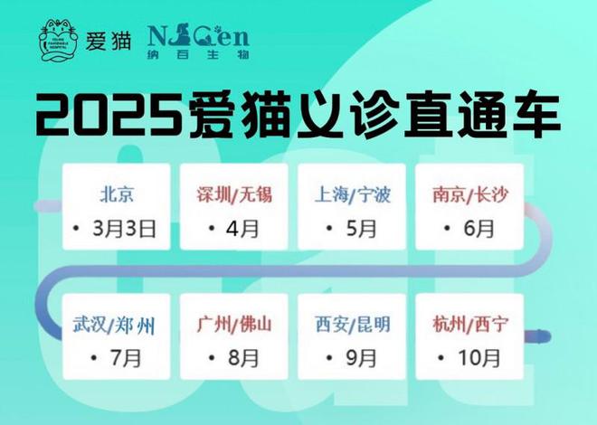 车深圳站：专业的猫咪健康守护行动开元棋牌网站新瑞鹏爱猫义诊直通(图2)