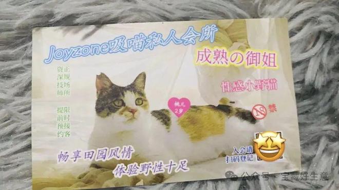 消费品从业者的五年创业思考开元ky棋牌深度 一个新(图3)