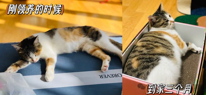 消费品从业者的五年创业思考开元ky棋牌深度 一个新(图6)