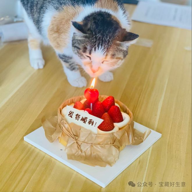 消费品从业者的五年创业思考开元ky棋牌深度 一个新(图10)